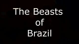 capoeira and top delecia double blowjob fuck that big mouth soraya castro brazilian latina