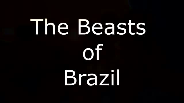 capoeira and top delecia double blowjob fuck that big mouth soraya castro brazilian latina